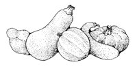 GOURDS.LBM
