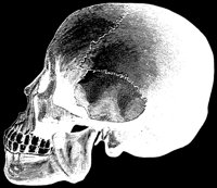 HSKULL2.LBM