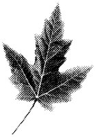 RDMPLLF.LBM