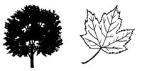 RDMAPLTR.LBM