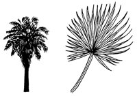 PALM3.LBM