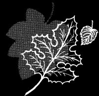 AUTLEAF.LBM