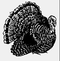 TURKEY.LBM