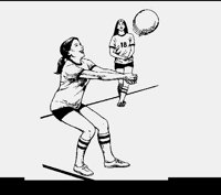 VOLLEYBA.LBM