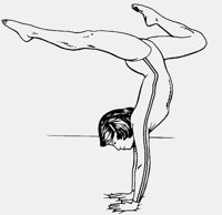 GYMNAST2.LBM
