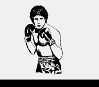 BOXING1I.LBM