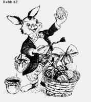 RABBIT2.LBM