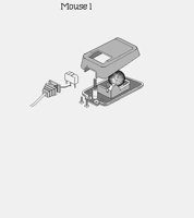 MOUSE1.LBM