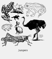 JUMPERS.LBM
