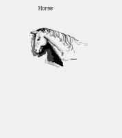 HORSE.LBM