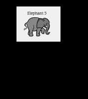 ELEPHANT.LBM