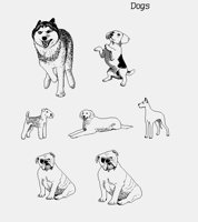 DOGS.LBM