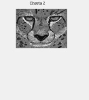 CHEETAH2.LBM
