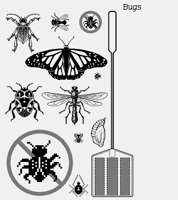 BUGS.LBM