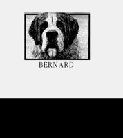 BERNARDI.LBM