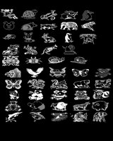 ANIMALS.LBM