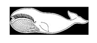 WHALE.LBM