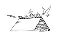 THEBIRDS.LBM