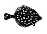 SOLEFISH.LBM