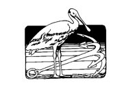SEABIRDI.LBM