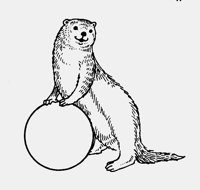OTTER.LBM