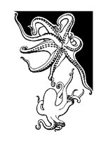 OCTOPUS.LBM