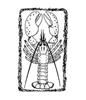 LOBSTERI.LBM