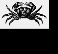 CRAB.LBM