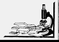 MICROSCO.LBM