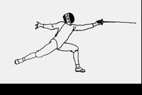 FENCING.LBM