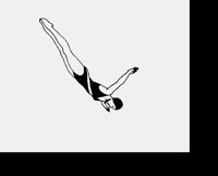 DIVER.LBM