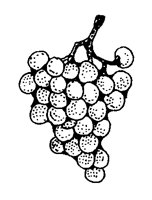 GRAPES.LBM