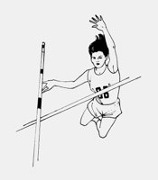 POLEVAUL.LBM