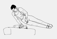 GYMNAST.LBM