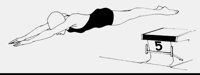 DIVING1.LBM