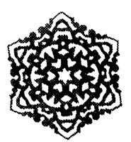 SNOWFLK4.LBM