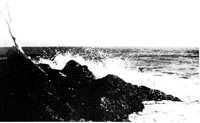 SEACOAST.LBM