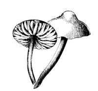 MSHRM06.LBM