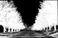 CTRYRD.LBM