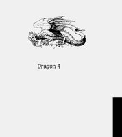 DRAGON4.LBM