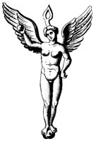 WINGED.LBM