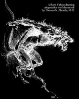 WEREWOLF.LBM