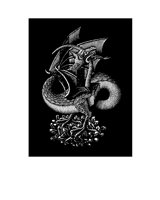DRAGON1.LBM