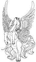 PEGASUS2.LBM