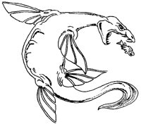 P03A022.LBM