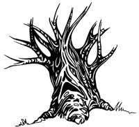 MTLKTREE.LBM