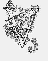V.LBM
