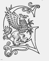 G.LBM