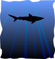 LDSCP044.WMF