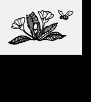 HONEYBEE.LBM